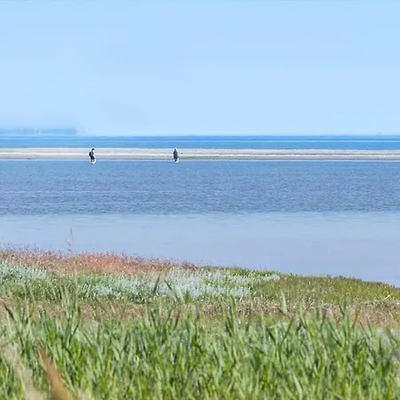 8992-orsted-sneppevej-7-b Дом отдыха Orsted (Midtjylland)