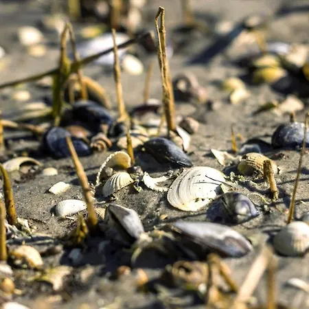 Дом отдыха 8992-orsted-sneppevej-7-b Orsted (Midtjylland)