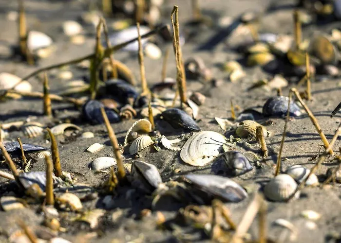 Holiday home 8992-orsted-sneppevej-7-b Orsted (Midtjylland)